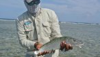 Bonefishing flats in Belize