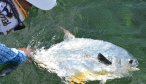 Permit fishing guides