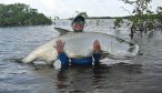 Tarpon fishing in Belize