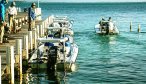Fly fishing guides in Belize