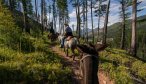 Horse Pack Trip Bob Marshall Wilderness