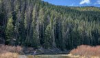 yellowstone park fly fishing