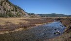 Gallatin River fly fishing trips