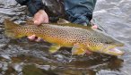 Montana Fishing Lodges, Montana Angler