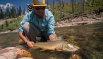 big bull trout montana