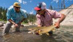 bull trout in MT