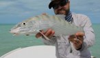 Montana Angler Hosted Fishing Bahamas