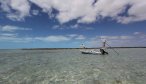 Bahamas Fly Fishing, Montana Angler