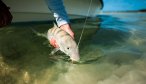 flyfishing for bonefish