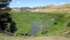 Montana Fly Fishing, Montana Angler