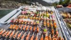Montana Angler, Montana Fishing Vacations