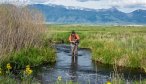 Montana Angler, Montana Fishing Vacations