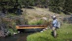 Montana Fly Fishing, Montana Private Water