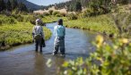 Montana Fly Fishing, Montana Private Water