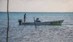 Mexico flats fly fishing