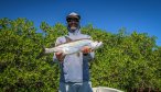 Mexican baby tarpon fishing