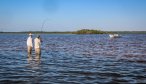 Flats fishing in Mexico