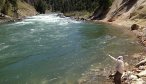 trout fishing in montana