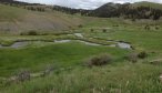 montana fly fishing 