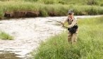 fishing for trout in montana