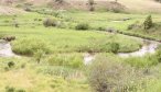 musselshell river bend