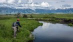 montana creek fishing