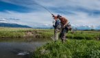 montana guided trout fishing