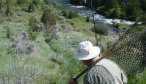 montana fishing guides