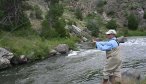 fly fishing willow creek