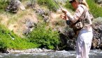 wade fishing willow creek
