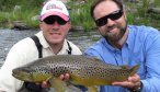 willow creek brown trout