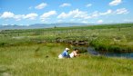montana guided fishing