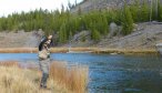 trout fishing montana
