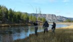 madison river fly fishing