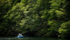 Montana Angler, Montana Fly Fishing