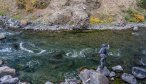 Yellowstone Park Fly Fishing