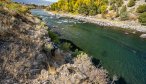 trout fish yellowstone river