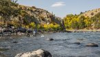 fly fishing yellowstone river