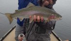 rainbow trout Hebgen Lake