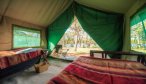 camping tent