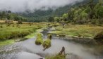 River of dreams camp