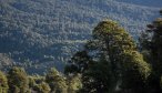 River of dreams camp