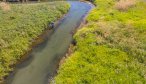 Small Stream Fishing Montana