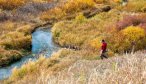 Montana guided fishing