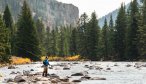 Montana guided fishing