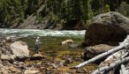 Yellowstone fly fishing guides