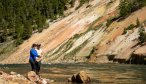 Yellowstone park guided fishing
