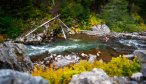 Montana wade fishing