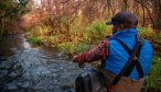 Bozeman fishing guides