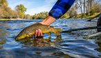 Montana Angler Fly fishing Trips